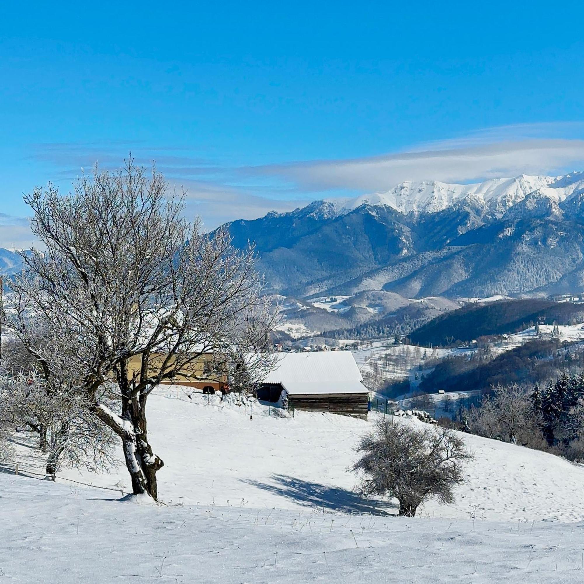 The Barn Villa Şirnea Dış mekan fotoğraf
