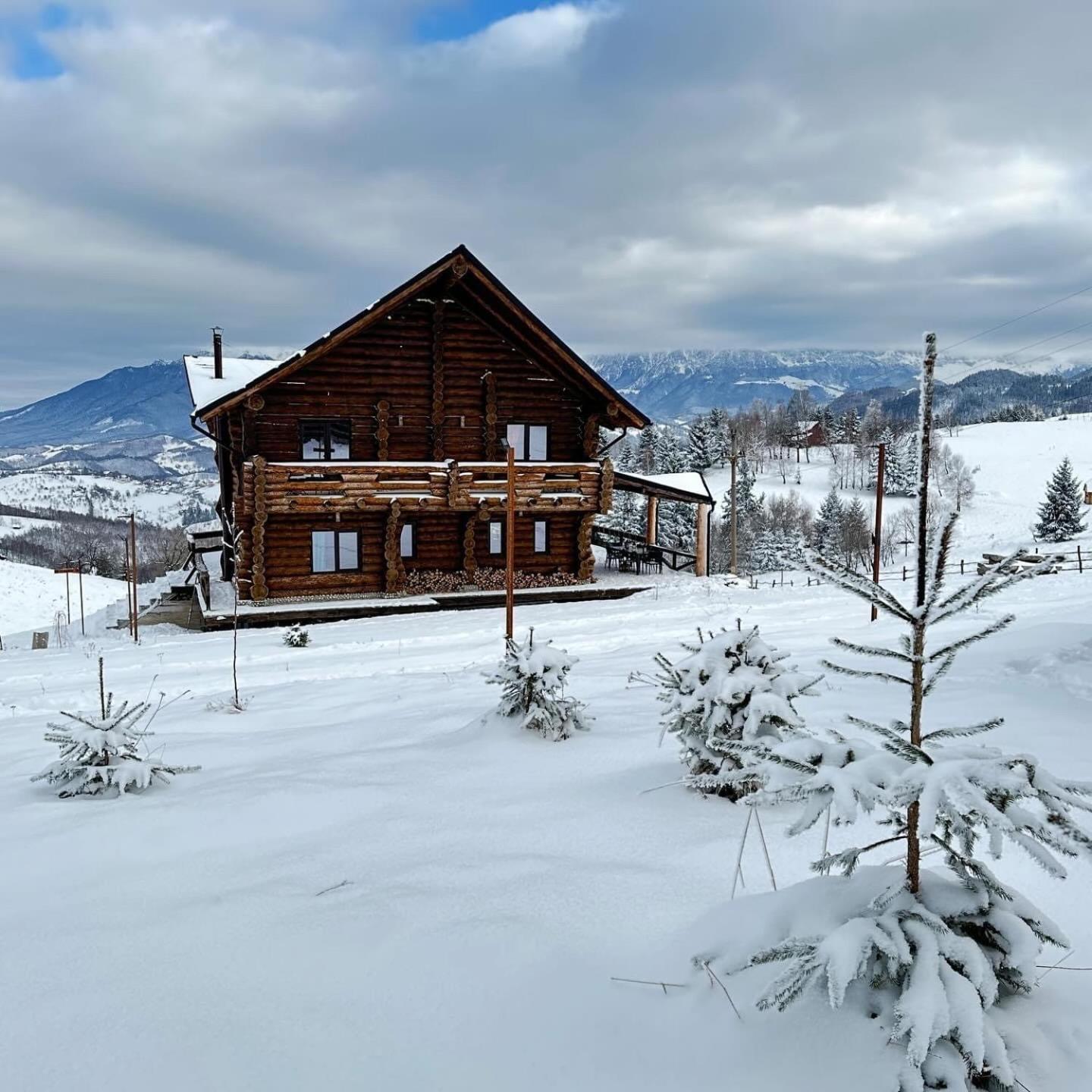 The Barn Villa Şirnea Dış mekan fotoğraf