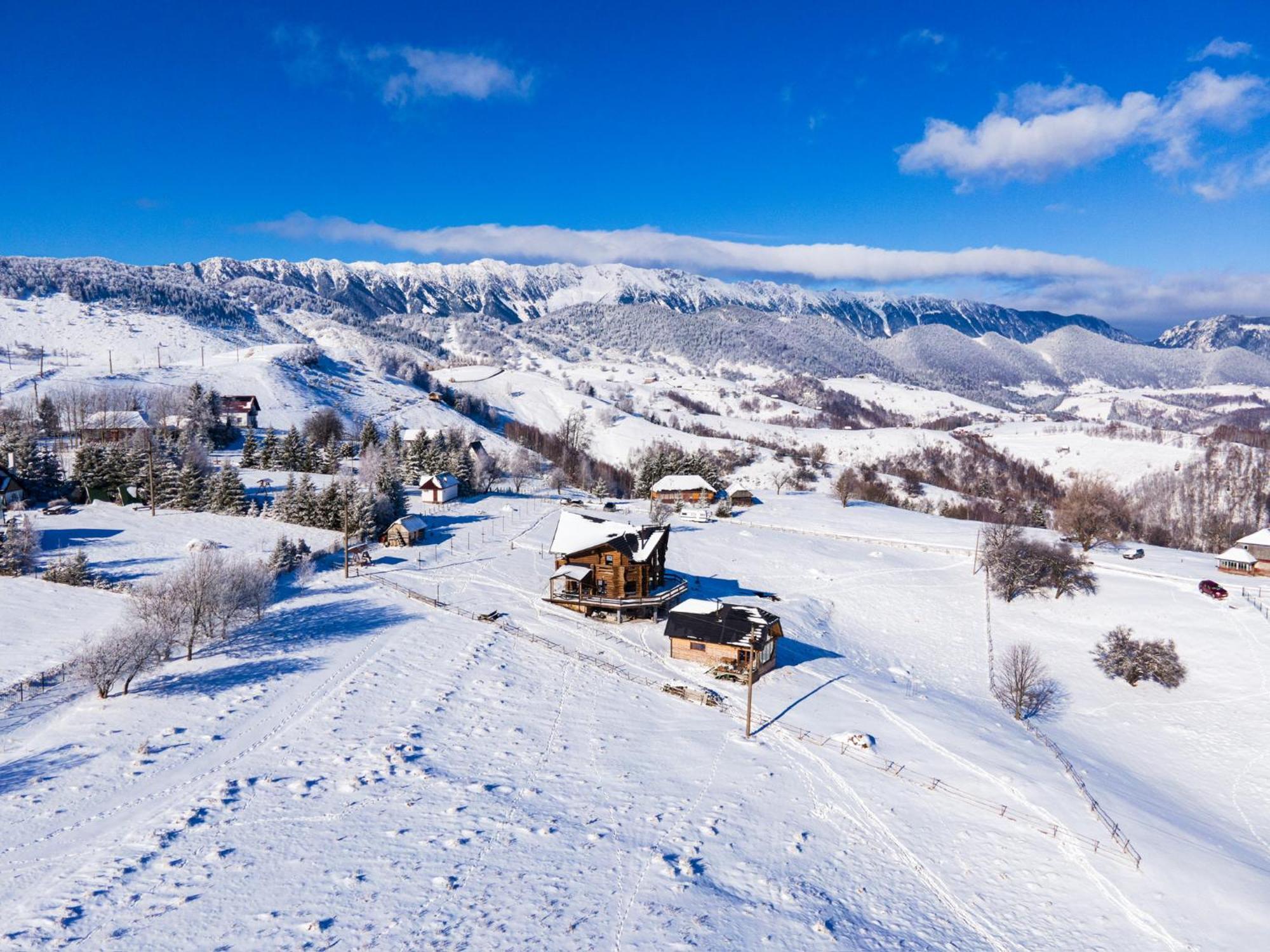 The Barn Villa Şirnea Dış mekan fotoğraf