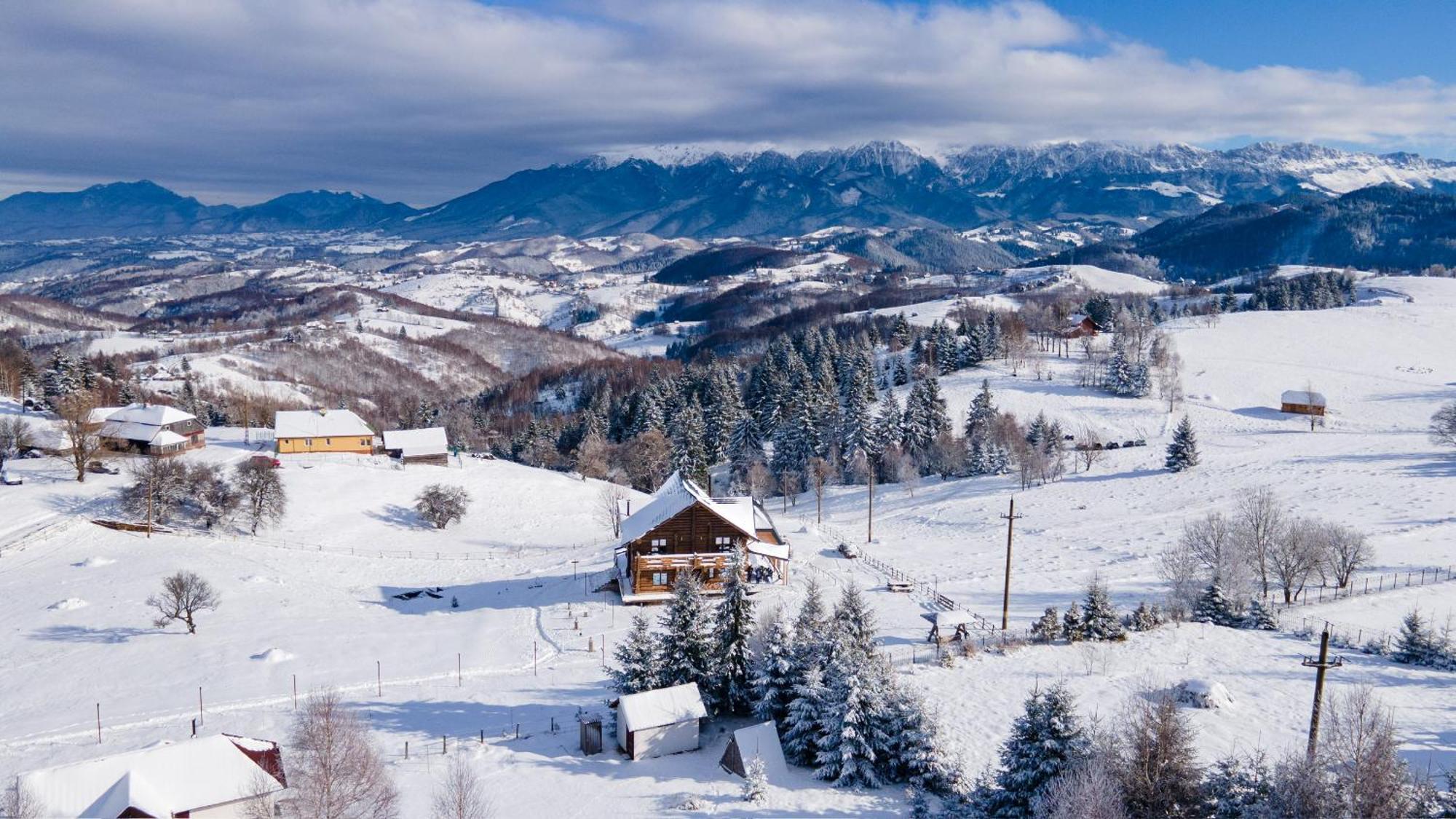 The Barn Villa Şirnea Dış mekan fotoğraf